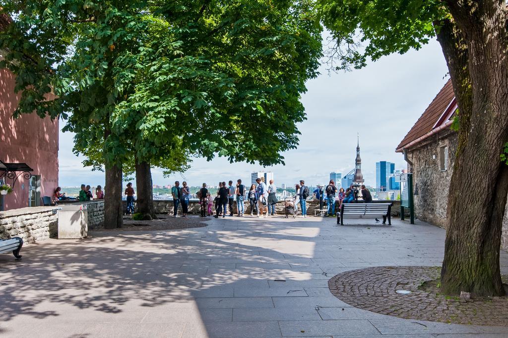 Old Town Central Apartment Tallinn Exteriér fotografie
